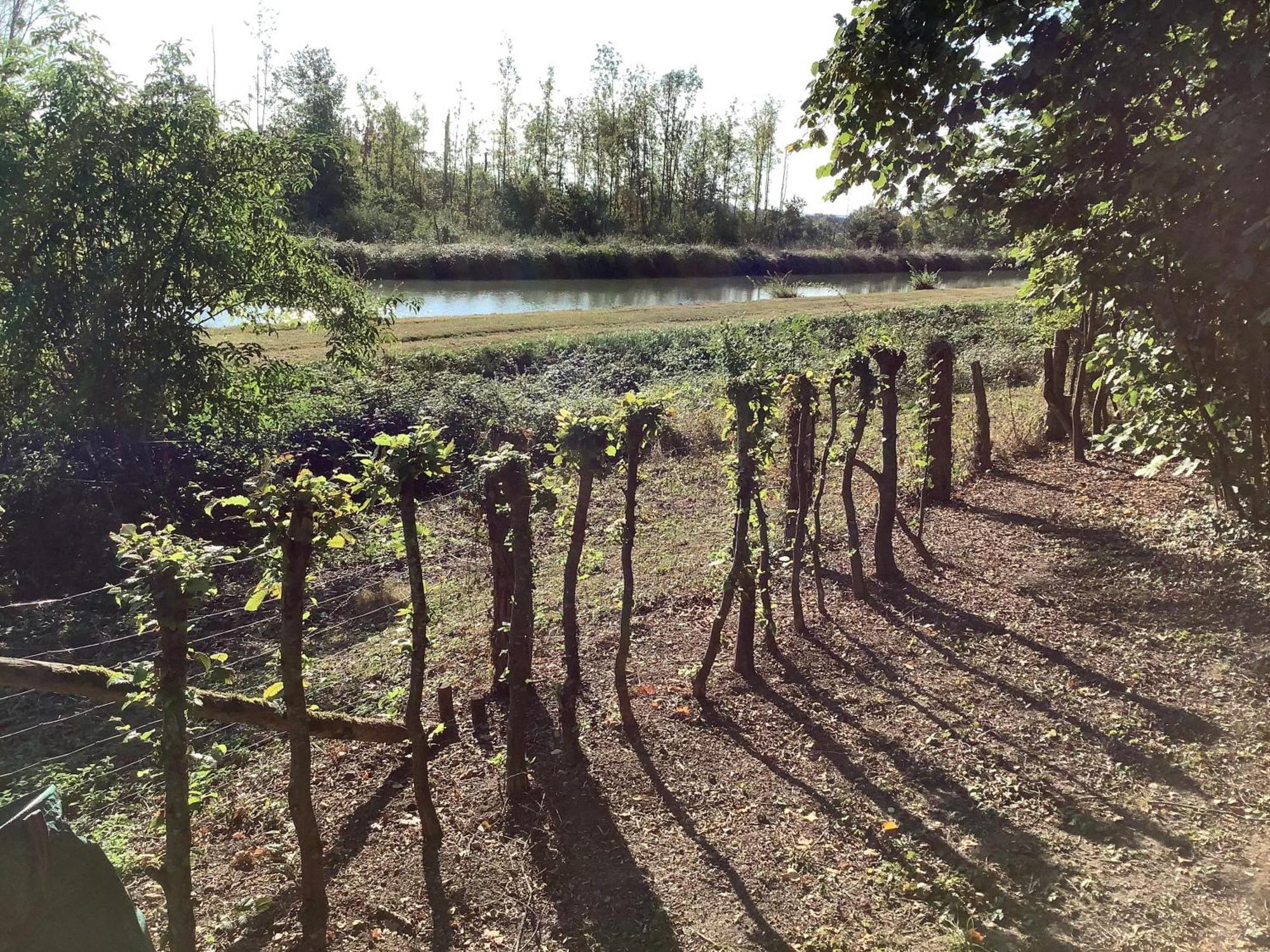 Autour Des Vignes B&B Herry エクステリア 写真