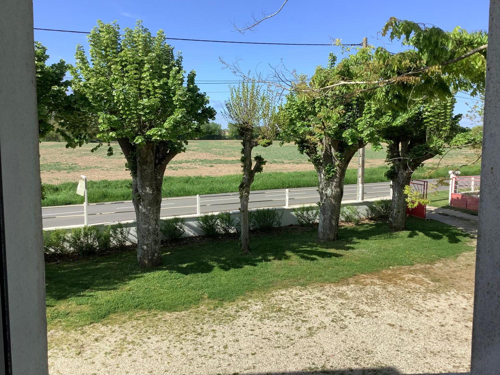 Autour Des Vignes B&B Herry エクステリア 写真